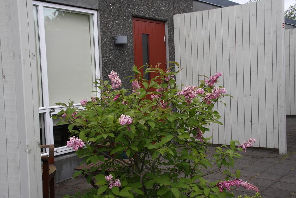Frumskogar Guesthouse & Apartments Hveragerdi Exterior foto